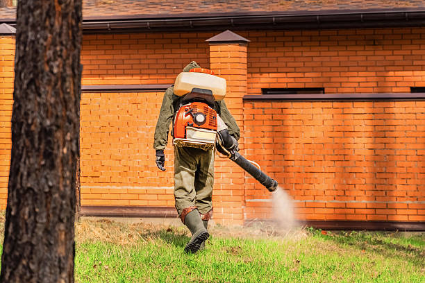 Trusted Termite Control service in Bethel, NC - Nex Pest Control